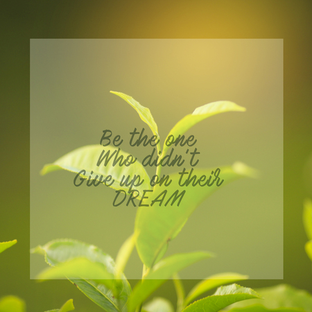 Motivational and inspiration quotes with phrase be the one who didn't give up on their dream with nature backgroundの写真素材