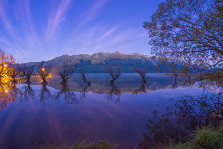 Row of willow trees on Lake Wakatipu in Glenorchy, New Zealand with star at the nightの写真素材