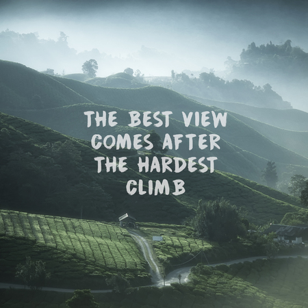 Inspirational quotes on nature Tea Plantationの写真素材