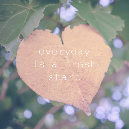 Inspirational quotes on natureの写真素材