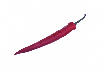 Red chili or chilli cayenne pepper isolated on white backgroundの写真素材