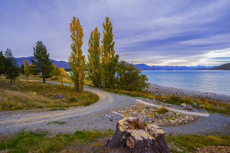 Landscape scenery of New Zealand during cloudy dayの写真素材