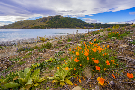 Landscape scenery of New Zealand during cloudy dayの写真素材