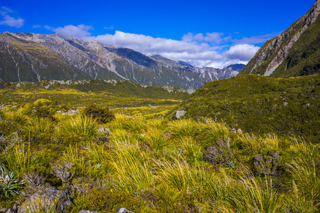 Mount Tasman Valleys , Aoraki Mt Cook national park Southern Alps mountain South Island New Zealandの写真素材