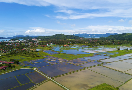 Arial view of beatiful green paddy field with blue sky at Langkawi Islandの写真素材