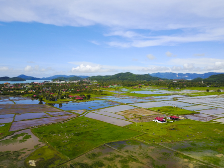 Arial view of beatiful green paddy field with blue sky at Langkawi Islandの写真素材