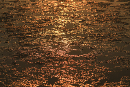 Mud texture on the beach with dramatic sunset backlightingの写真素材