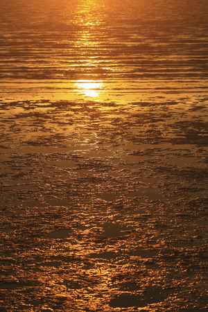 Mud texture on the beach with dramatic sunset backlightingの写真素材