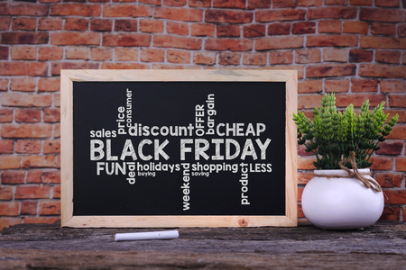 Black Friday word on blackboard with green plantの写真素材