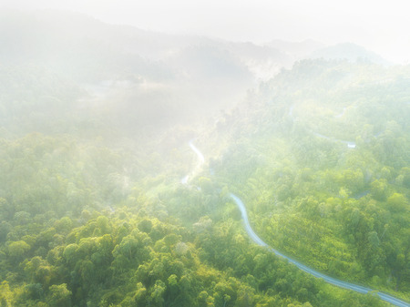 Thick fog covering the forest and the lake in early morning landscapeの写真素材