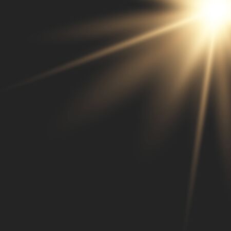 Sunlight lens flare light effect. Bright beautiful star.のイラスト素材