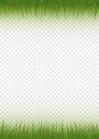 Realistic, detailed fresh green vector grass. のイラスト素材