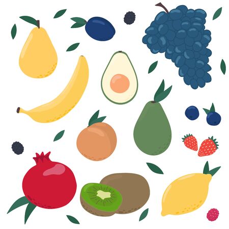 Set of fruits and berries,  fruits in modern vector hand  drawing vector elements. Set of natural fruits, apple, watermelon, lemon, strawberry, avocado, banana, grape, apricot, raspberry.のイラスト素材
