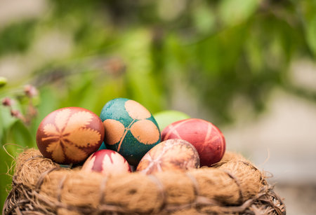 Closeup of Easter eggs in nestの写真素材