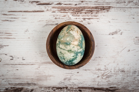 One natural colored Easter eggin bowlの写真素材