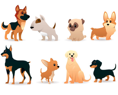 Dogs animals character. Different doggy puppy pets characters various. Vector illustrationのイラスト素材