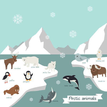 Cartoon cute arctic animals. Arctic animals with names stand on an iceberg. Flat design arctic animals with  ocean, mountain ice and snow. Vector illustrationのイラスト素材