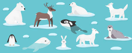 Arctic marine animals.
Christmas and New Year 2021 with cute animals.
Collection of sea animals on ice, penguin, hare, fur seal, wolf, deer, bear, seal, walrus.
Vector illustrationのイラスト素材