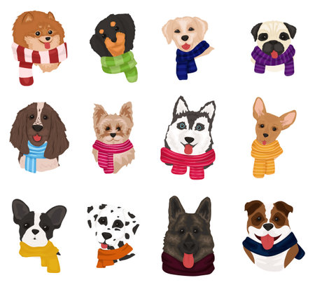 Cute dogs in knitted scarves. Collection of funny dogs of different breeds. Merry Christmas and Happy New Year 2021. Cute doodle corgi for christmas. Vector illustrationのイラスト素材