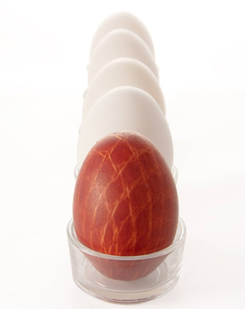 easter egg on a background of white eggsの写真素材