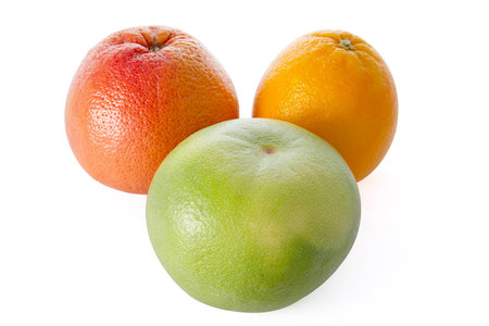 citrus - grapefruit, orange, and sweetie (light background)の写真素材