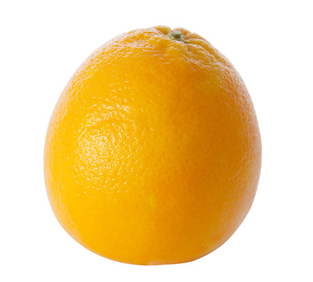 citrus - orange on a white background (isolated object)の写真素材