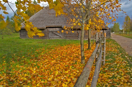 Autumn rural landscape with road and a barn in the backgroundの写真素材