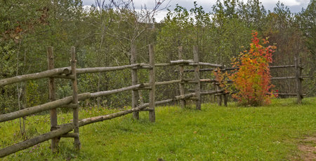 Autumn rural landscape with fence and multicolored bushの写真素材