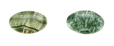 stone plates of skarn and clinochlore on a white backgroundの写真素材