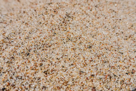 beach sand with amber, close-up, with a small depth of fieldの写真素材