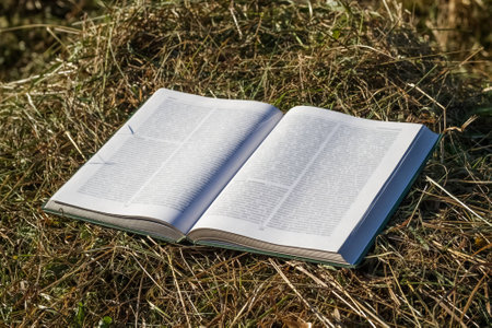 open book in the hay on a sunny dayの写真素材