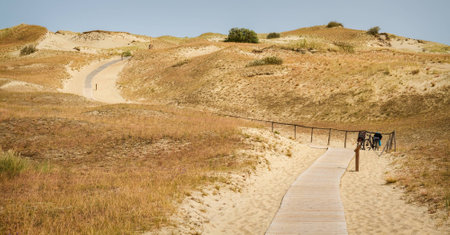 wooden trail with posted on dune Nagliu, Curonian Spit, Lithuaniaの写真素材