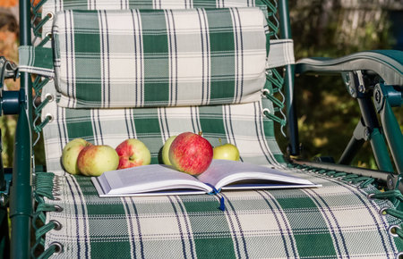 book and apple at their summer chair on a sunny dayの写真素材