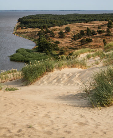 view from the Dune Nagliu of the Curonian Lagoon, Curonian Spit, Lithuaniaの写真素材