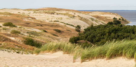 view from the Dune Nagliu of the Curonian Lagoon, Curonian Spit, Lithuaniaの写真素材