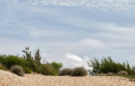 boundary of the public beach in Klaipeda, Lithuaniaの写真素材