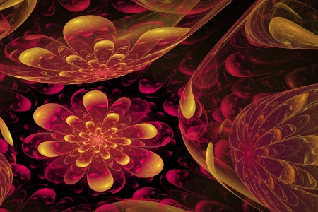 Fractal - flower with reflections on black backgroundの写真素材