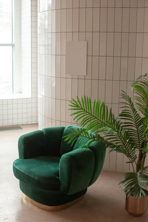 Green armchair in the interior of the living room with a plantの写真素材