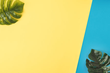 Minimal Flat Lay Background decorated with two leaves of philodendron.の写真素材