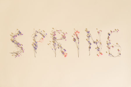 The word spring is written with tiny blooming flowers against sahara colored .Minimal spring & Nature concept.Flat lay.の写真素材