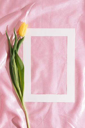 Yellow tulip against pastel pink silk with white frame.Minimal nature and spring concept.