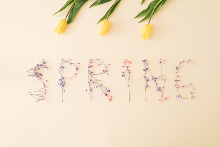 The word spring is written with tiny blooming flowers against sahara colored and three tulips.Minimal spring and Nature concept.Flat lay.の写真素材