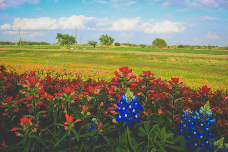 Springの写真素材