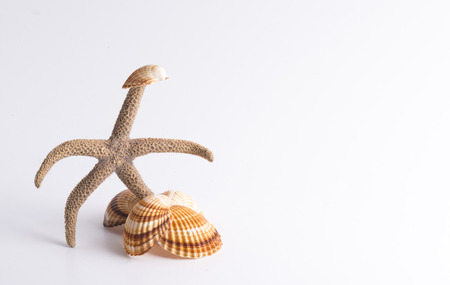 star escaping, pre-holiday, after the holidaysの写真素材