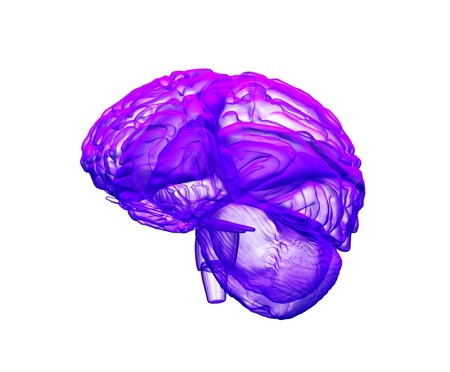 3d abstract brain on the white backgroundの写真素材