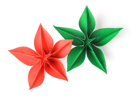 flower exotic origami on a white backgroundの写真素材