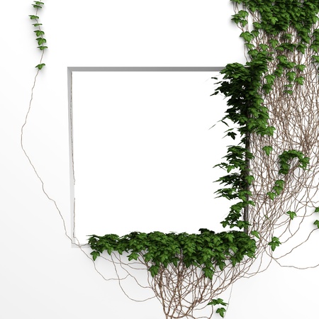 3d ivy window white frame backgroundの写真素材