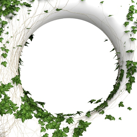 3d round ivy wall  frame backgroundの写真素材