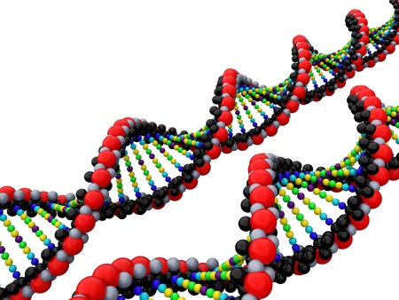 3d isolated dna on the  white backgroundの写真素材