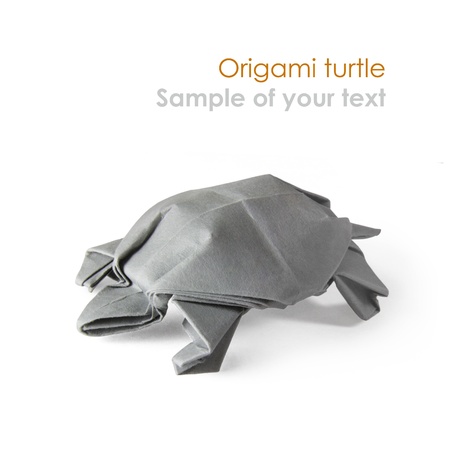 Origami gray turtle on a white backgroundの写真素材
